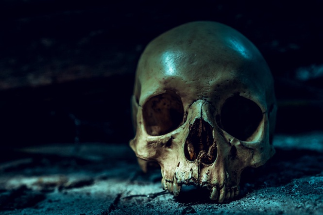 Mystery deepens after human skull discovered at Florida thrift store. It’s not the first time