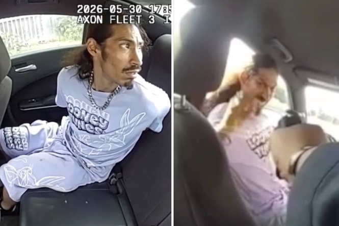 Suspect slips handcuffs and steals police car with officer in the back before leaping from moving vehicle