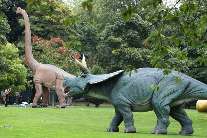 Meteorite that killed dinosaurs also created life-supporting environment – study