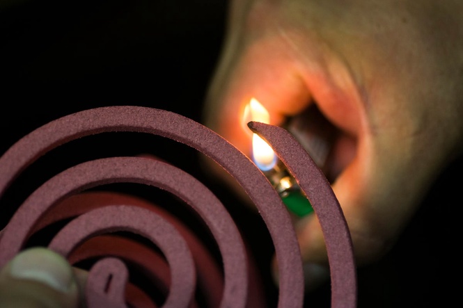 French luxury brand mocked for selling £39 ‘incense spiral’ that looks like mosquito-repellent coil