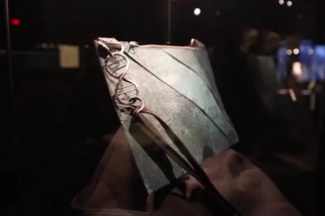 ‘T-rex leather’ handbag made with collagen from dinosaur fossil goes up for auction
