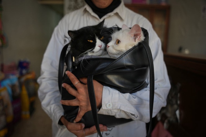 Photos of a rare veterinary clinic still open in war-battered Gaza