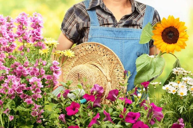 The most important gardening jobs to do in July