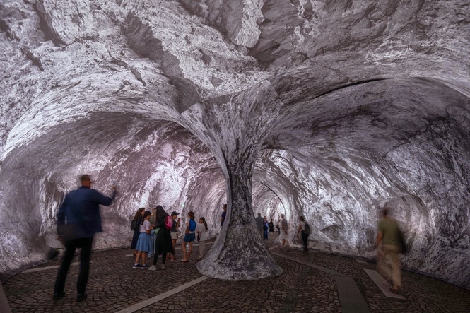 Monumental cave art on Paris' oldest bridge finally opens, as the public steps and sniffs inside