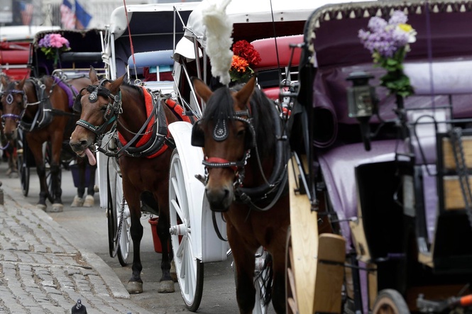 Central Park carriage ride turns deadly in terrifying seconds