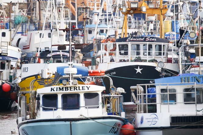 Brexit has cut trade in almost every sector of the UK economy, study warns