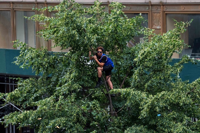 Knicks fans climb trees and buildings for a glimpse of victory parade