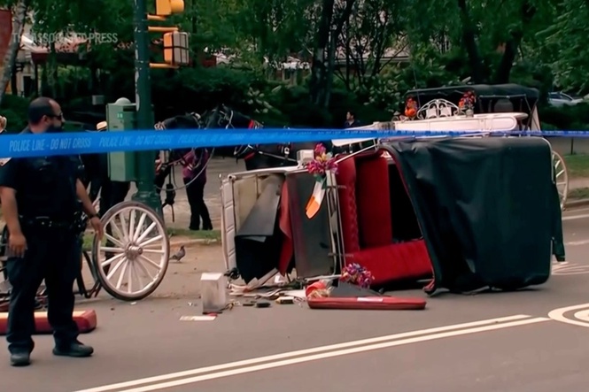 New York mayor, other leaders push to end horse carriage industry after Indian teen's death