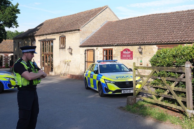 Toddler who ended up in crocodile enclosure still critical as arrested man is bailed