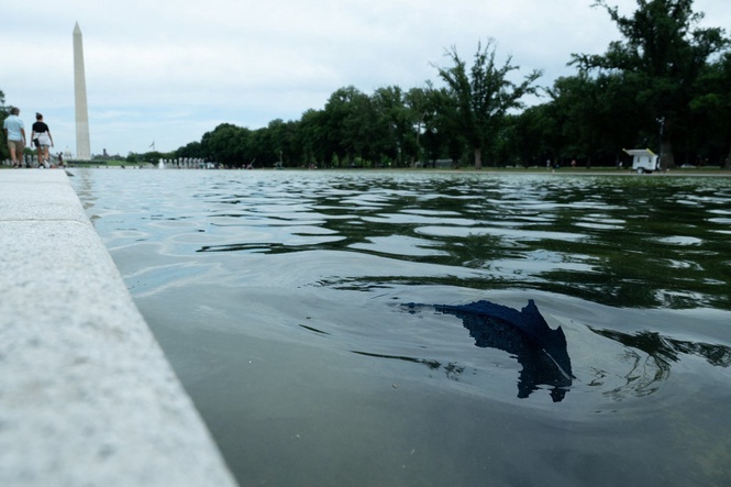 Trump’s blue paint at the Reflecting Pool is already chipping off as renovation costs soar to $14.7M