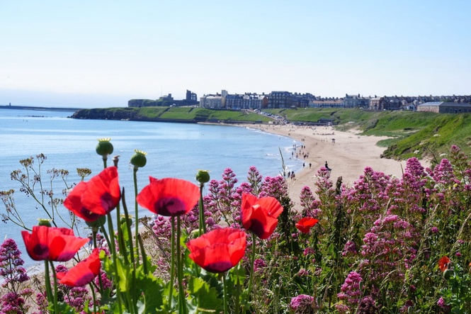 UK set to swelter in up to 38C as extreme heat warning expanded