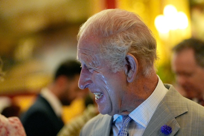 King Charles is fanned by aides as he feels the heat at climate event