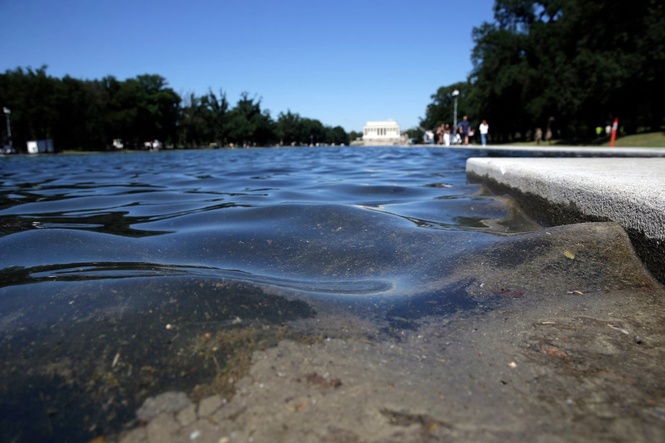 Republican offers unusual solution to Trump’s Reflecting Pool algae problem
