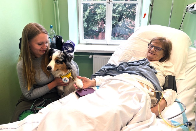 A cancer patient’s cats inspired a push for pets in hospice wards