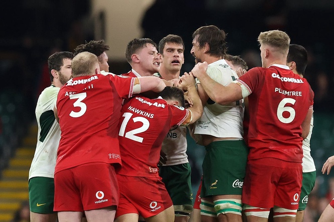 South Africa star back from eye gouging ban to face England in Nations Championship