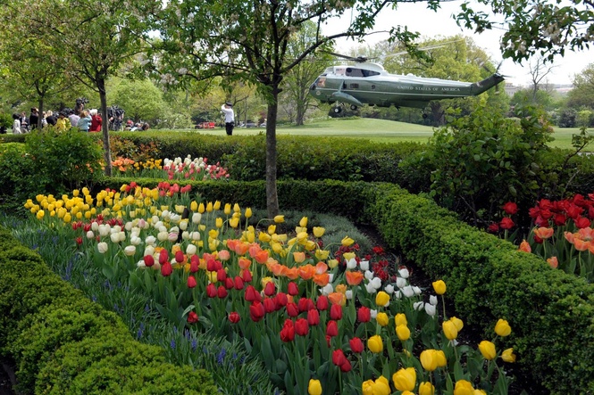 How the White House Rose Garden and its plantings have changed over the past century