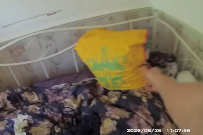 Wanted man tries to evade police by hiding in shopping bag