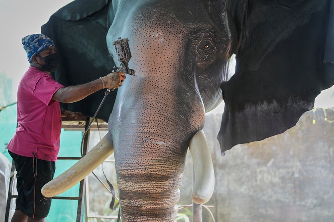 Robotic elephants are replacing live ones at Kerala temple festivals, in photos