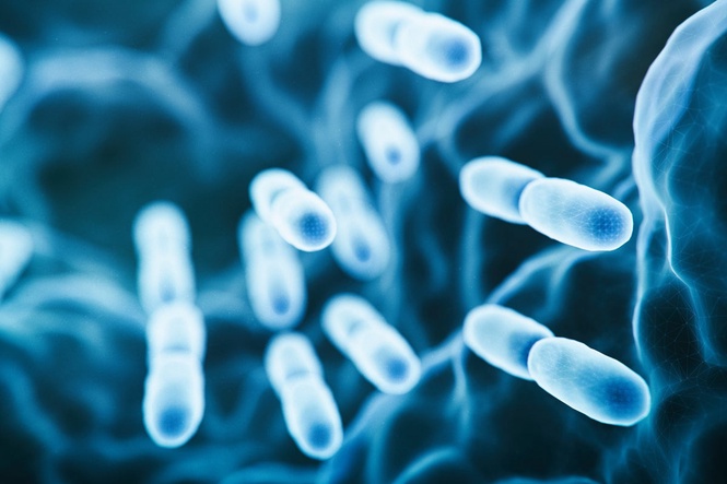 Likely source of Legionnaires’ disease outbreak in New York identified as visitors are urged to watch for symptoms