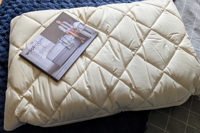 9 best pillows for every type of sleeper, tested by a sleep expert