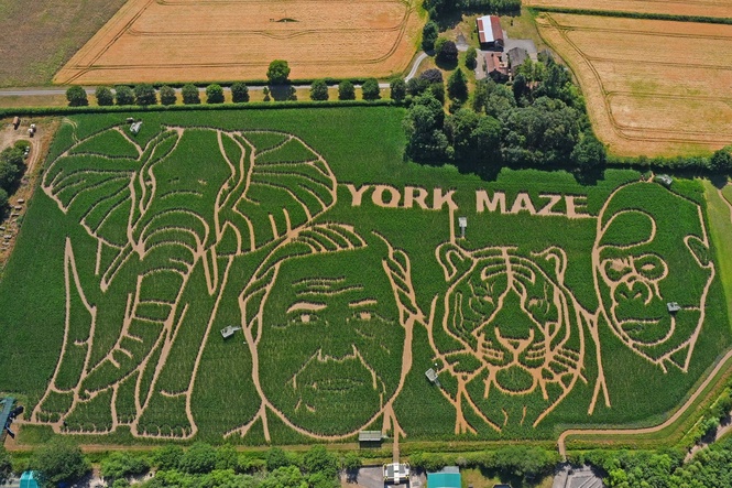 15-acre maze cut into design celebrating David Attenborough’s 100th birthday