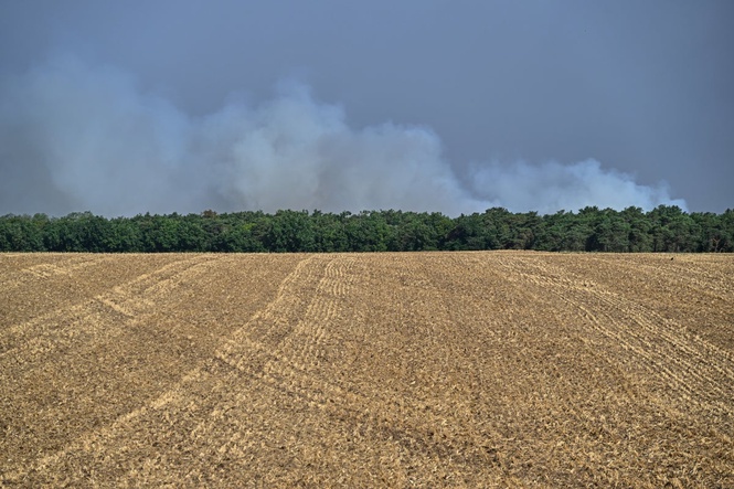Hundreds of firefighters battle major wildfire south of Paris