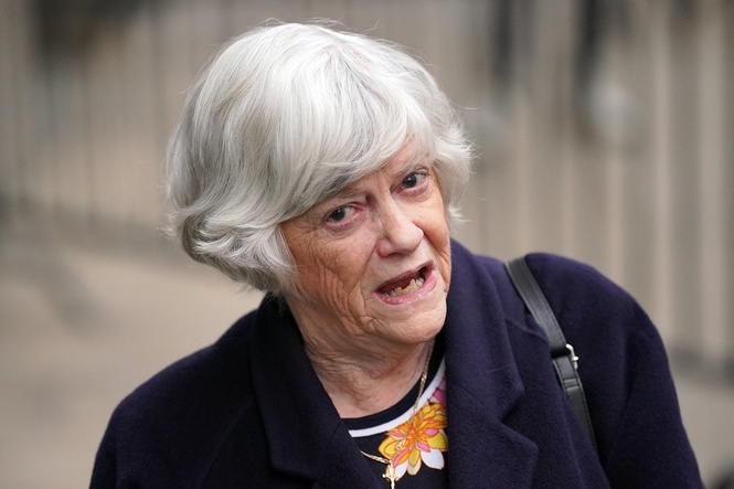 Police investigating whether Ann Widdecombe suspect had plans to target other Reform politicians