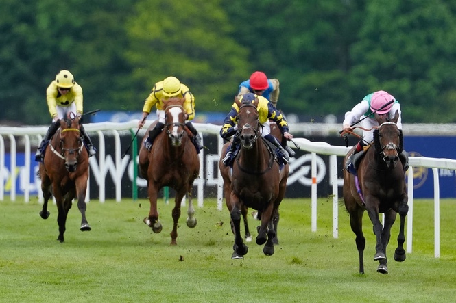 Friday’s racing tips: Best bets and odds for Newbury, Pontefract and Hamilton