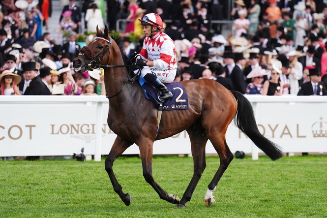 Saturday’s racing tips: Best bets and odds from Market Rasen and Newbury