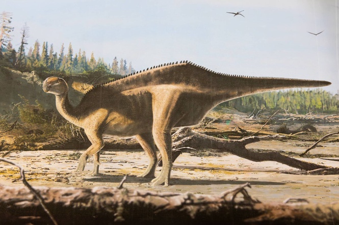 Scientists identify rare meteorite class that killed dinosaurs