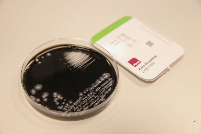NYC records first Legionnaires’ disease death as cases linked to AC systems climb