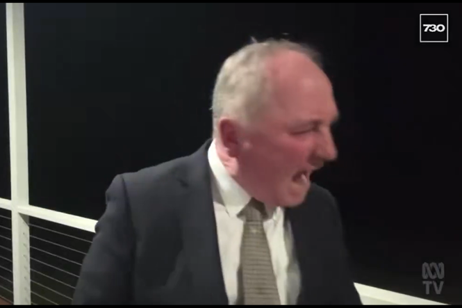 Politician faces backlash for stopping TV interview to yell at dog