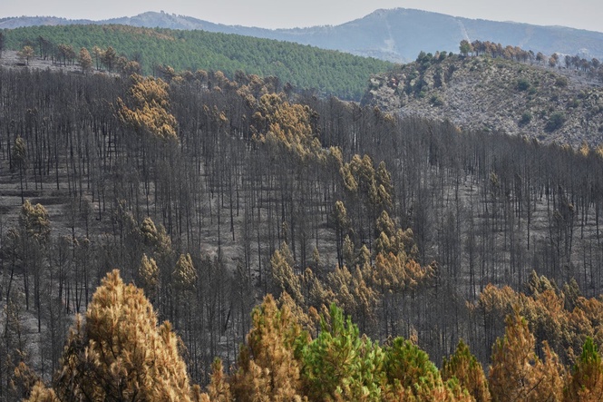 Firefighters in central Spain battle huge wildfire during heat wave
