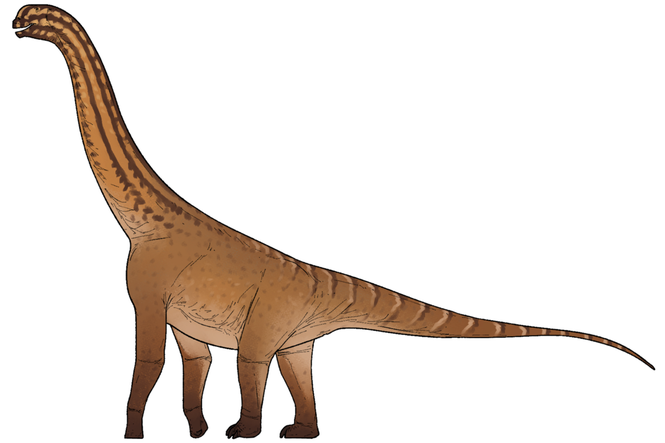 Unique Indian fossil transforms our understanding of one of most popular dinosaur groups