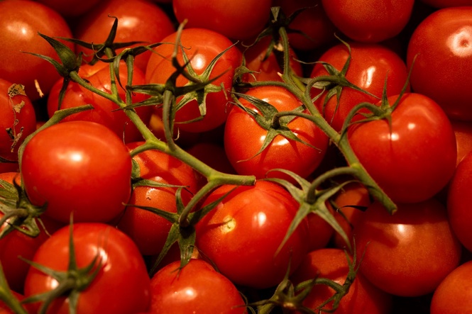 Sainsbury’s strikes deal with British salad producers to tackle food shortage fears