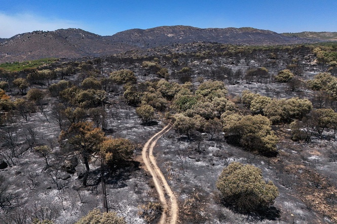 Europe is on fire - will the continent’s climate change deniers finally wake up?