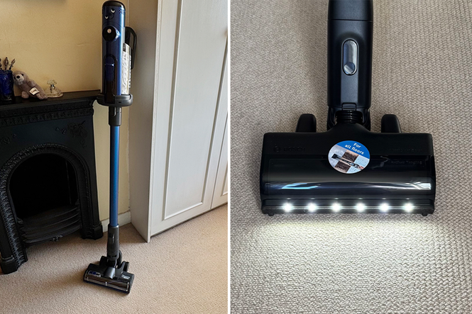 Best pet vacuum cleaners, tried and tested by a cat owner