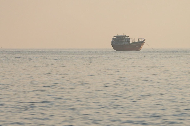How the Strait of Hormuz closure could lead to the spread of invasive species