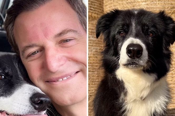 Matt Baker pays tribute to dog Bob as the ‘ultimate companion’ in touching montage