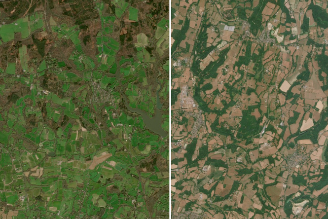 Satellite pictures reveal huge impact of ‘exceptional’ UK drought and heatwaves