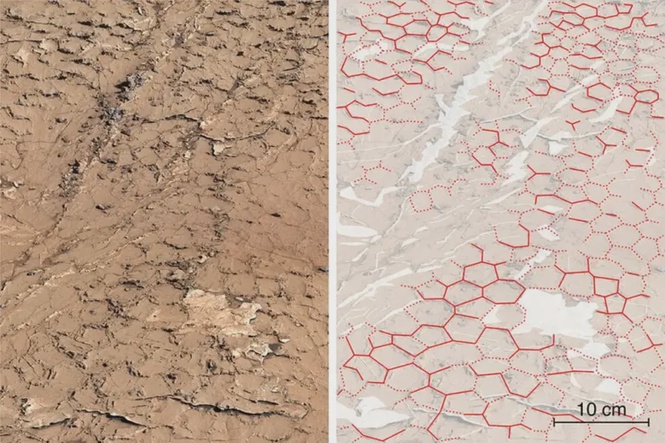 NASA’s Curiosity rover finds mysterious honeycomb textures on surface of Mars