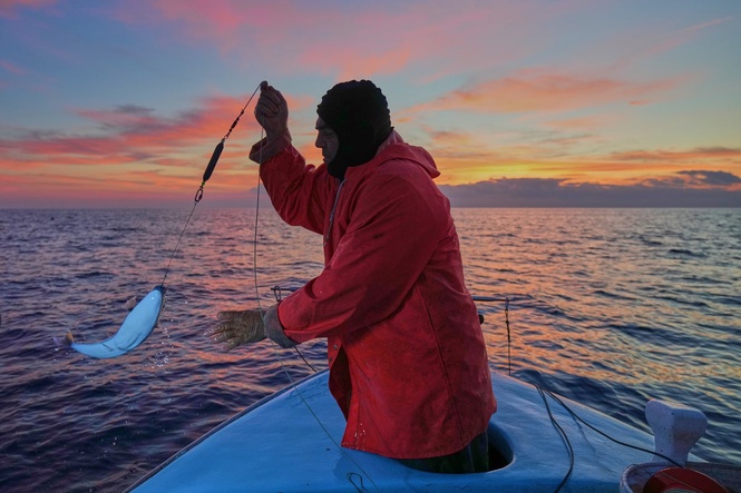 The Mediterranean's warming waters are drawing hundreds of invasive species