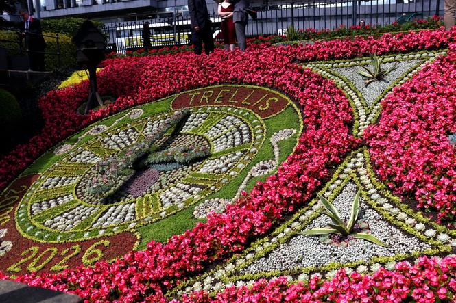 ‘Magnificent’ annual floral clock unveiled to benefit gardening charity