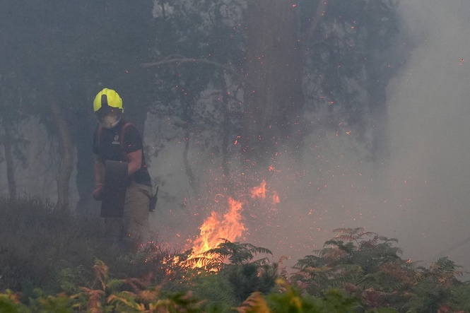 Suffolk wildfire enters third day as firefighters issue update on major blaze