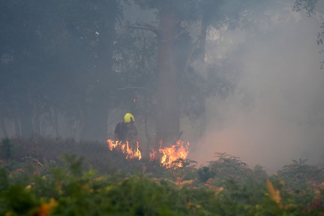 Firefighters tackling Suffolk wildfire making ‘good progress’
