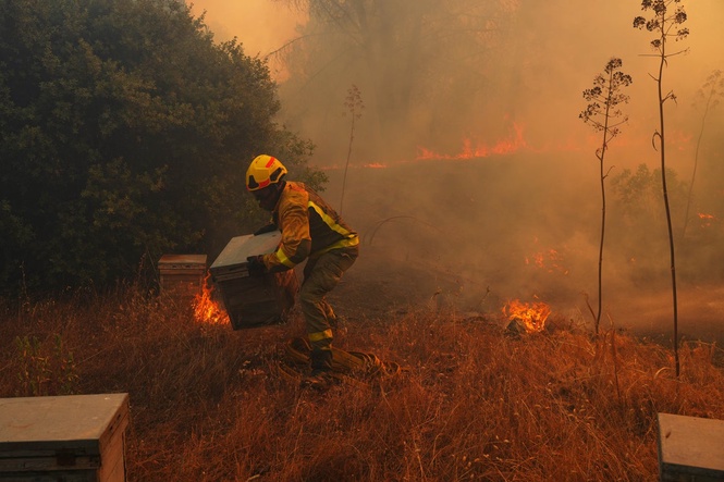 UN, scientists warn that strong El Nino will add fuel to 'a planet already on fire'