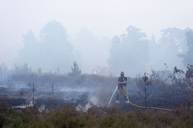 National Trust launches fundraising drive over ‘devastation’ at Suffolk reserve