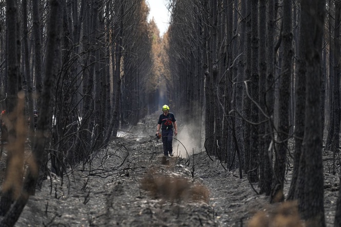 French wildfire near Bordeaux contained as 1,500 firefighters battle separate blaze in Provence
