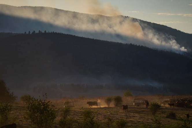 Wildfire destroys about 230 homes in western Canadian Indigenous community, officials say