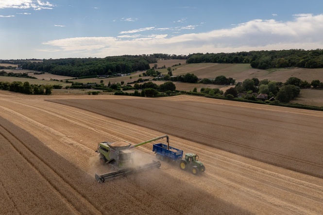 Why this year’s harvest could be the worst on record
